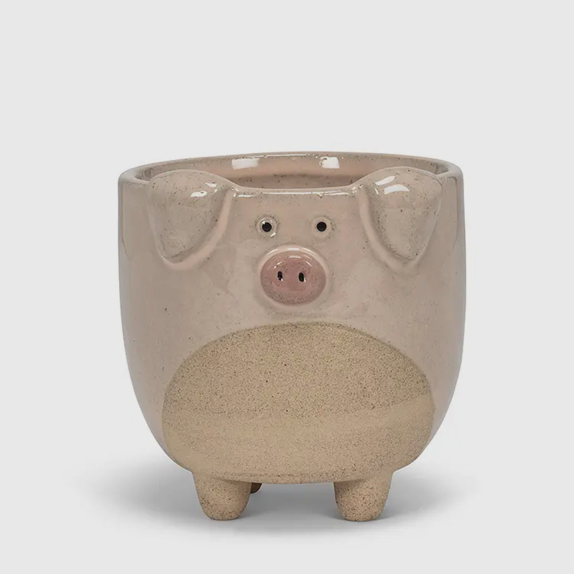 Pig Planter